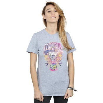 textil Mujer Camisetas manga larga Harry Potter Love Potion Gris