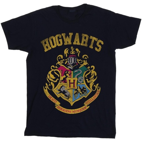 textil Mujer Camisetas manga larga Harry Potter Hogwarts Varsity Azul