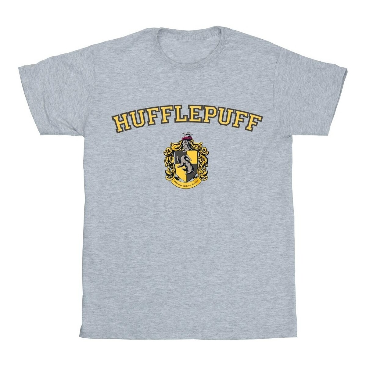 textil Mujer Camisetas manga larga Harry Potter Hufflepuff Crest Gris