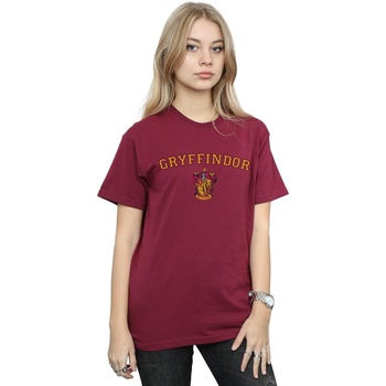 Harry Potter Gryffindor Crest Multicolor