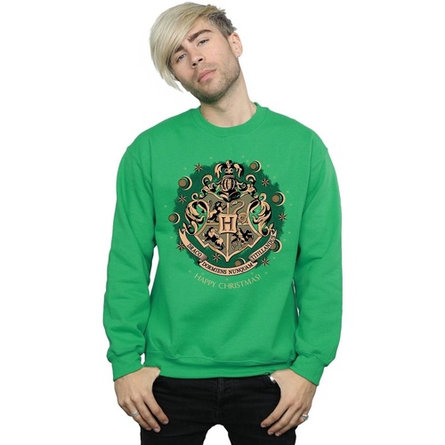 textil Hombre Sudaderas Harry Potter Christmas Wreath Verde
