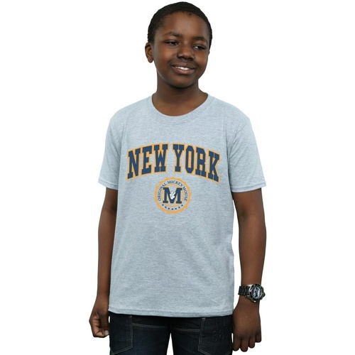 textil Niño Camisetas manga corta Disney Mickey Mouse New York Seal Gris