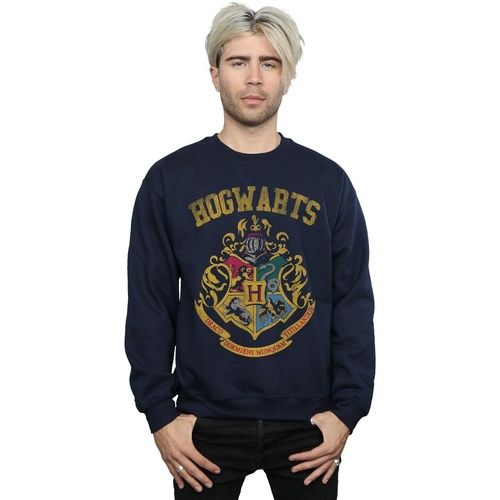 textil Hombre Sudaderas Harry Potter Hogwarts Varsity Azul