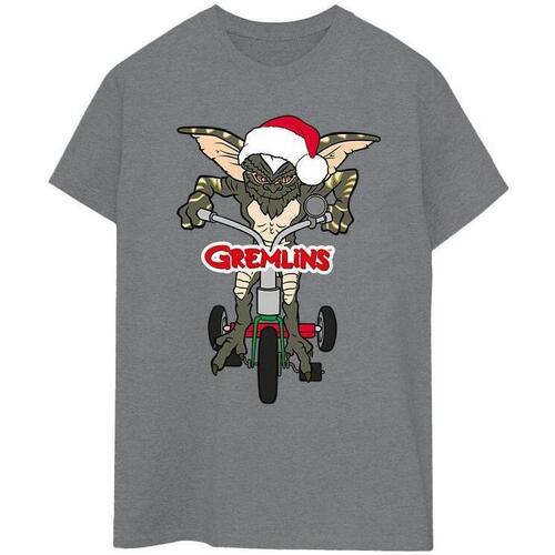 textil Hombre Camisetas manga larga Gremlins Bike Logo Gris