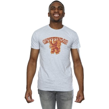 textil Hombre Camisetas manga larga Harry Potter Gryffindor Sport Emblem Gris