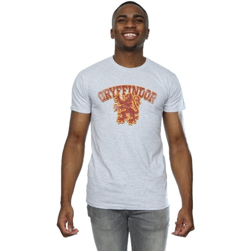 textil Hombre Camisetas manga larga Harry Potter Gryffindor Sport Emblem Gris