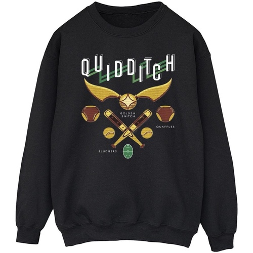 textil Hombre Sudaderas Harry Potter Quidditch Bludgers Quaffles Negro