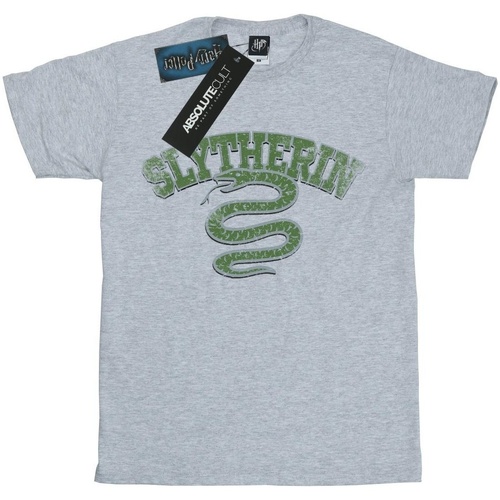 textil Hombre Camisetas manga larga Harry Potter Slytherin Sport Emblem Gris