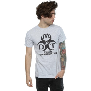 textil Hombre Camisetas manga larga Harry Potter Department Of Magical Transportation Logo Gris