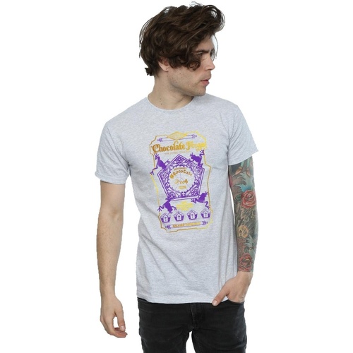 textil Hombre Camisetas manga larga Harry Potter Chocolate Frogs Coloured Label Gris
