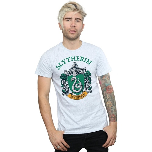 textil Hombre Camisetas manga larga Harry Potter Slytherin Crest Gris