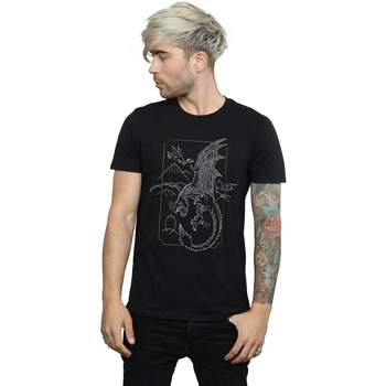 textil Hombre Camisetas manga larga Harry Potter Dragon Line Art Negro
