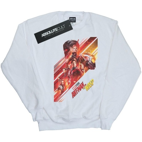 textil Mujer Sudaderas Marvel Studios Ant-Man And The Wasp Poster Blanco