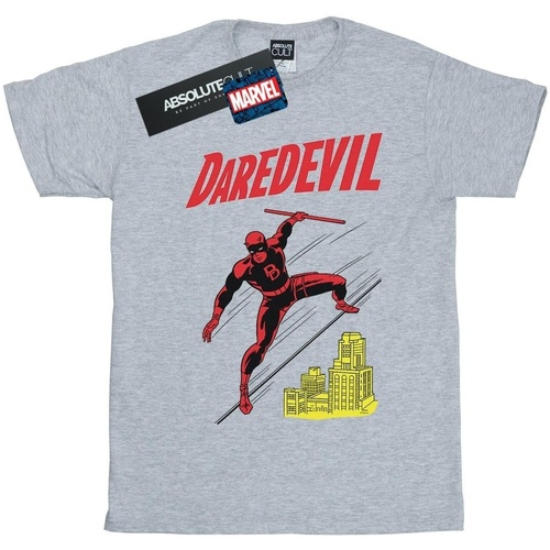 textil Niño Camisetas manga corta Marvel Daredevil Rooftop Gris