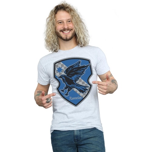 textil Hombre Camisetas manga larga Harry Potter Ravenclaw Crest Flat Gris