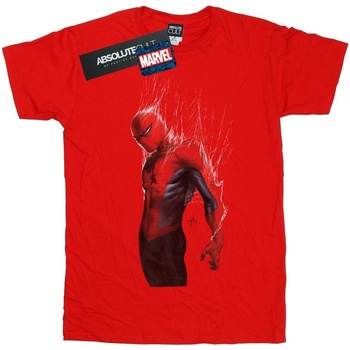 textil Niño Camisetas manga corta Marvel Spider-Man Web Wrap Rojo