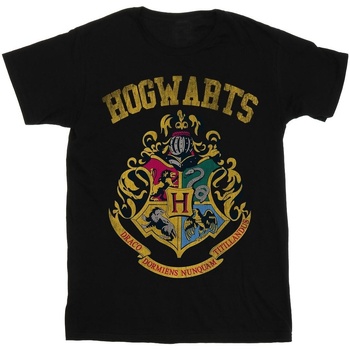 textil Hombre Camisetas manga larga Harry Potter Hogwarts Varsity Negro