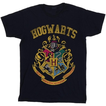 textil Hombre Camisetas manga larga Harry Potter Hogwarts Varsity Azul