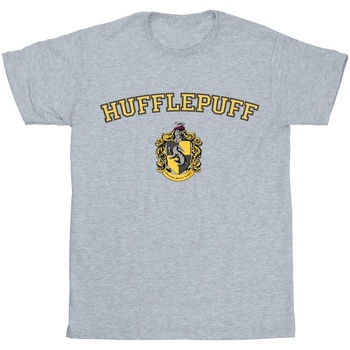 textil Hombre Camisetas manga larga Harry Potter Hufflepuff Crest Gris
