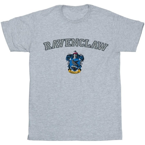 textil Hombre Camisetas manga larga Harry Potter Ravenclaw Crest Gris