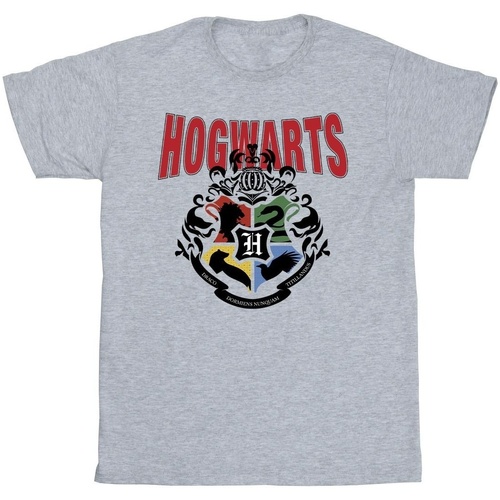 textil Hombre Camisetas manga larga Harry Potter Hogwarts Emblem Gris