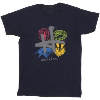 textil Hombre Camisetas manga larga Harry Potter Emblems H Spray Azul