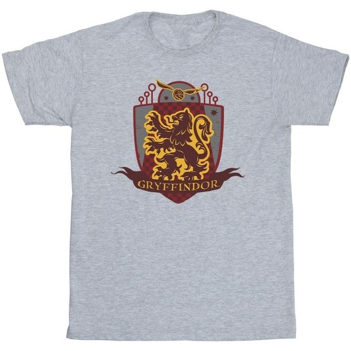 textil Hombre Camisetas manga larga Harry Potter Gryffindor Chest Badge Gris