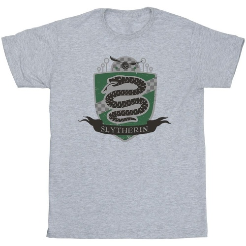 textil Hombre Camisetas manga larga Harry Potter Slytherin Chest Badge Gris