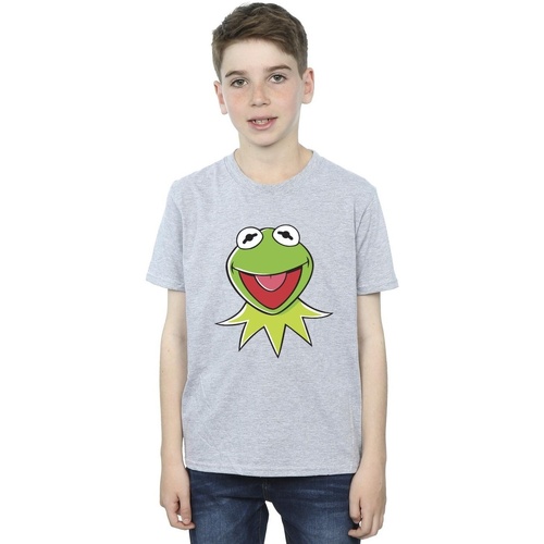 textil Niño Camisetas manga corta Disney Muppets Kermit Head Gris