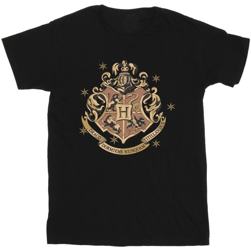 textil Hombre Camisetas manga larga Harry Potter Gold Hogwart Crest Negro