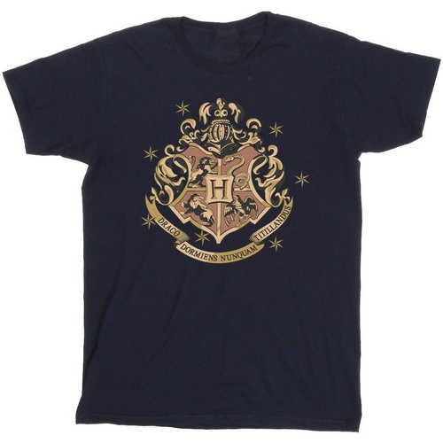 textil Hombre Camisetas manga larga Harry Potter Gold Hogwart Crest Azul