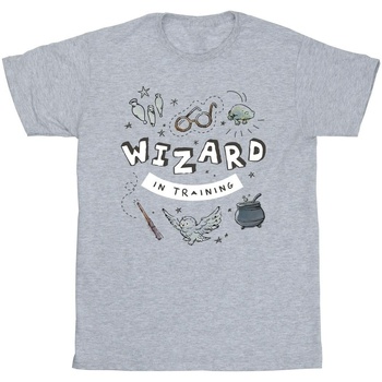 textil Hombre Camisetas manga larga Harry Potter Wizard In Training Gris