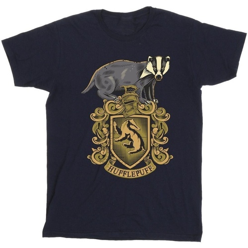 textil Hombre Camisetas manga larga Harry Potter Hufflepuff Sketch Crest Azul