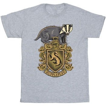 textil Hombre Camisetas manga larga Harry Potter Hufflepuff Sketch Crest Gris
