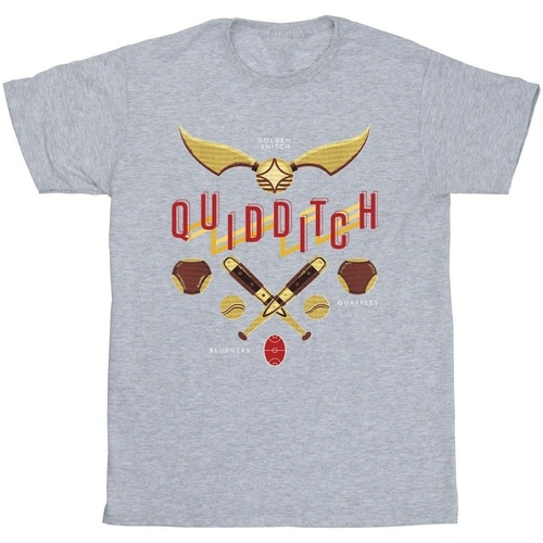 textil Hombre Camisetas manga larga Harry Potter Quidditch Golden Snitch Gris