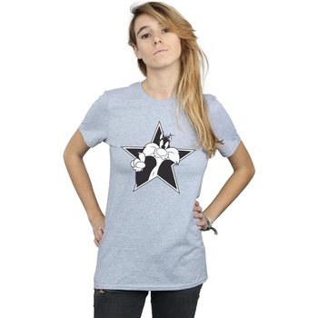 textil Mujer Camisetas manga larga Dessins Animés Sylvester Mono Star Gris