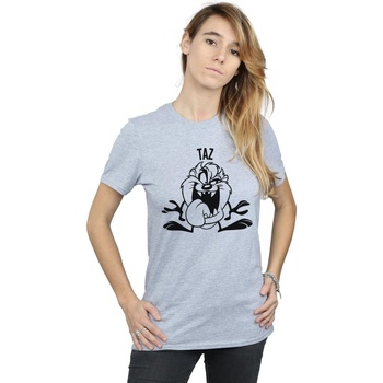 textil Mujer Camisetas manga larga Dessins Animés Taz Large Head Gris