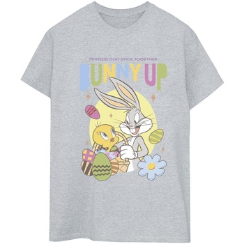 textil Mujer Camisetas manga larga Dessins Animés Bunny Up Gris
