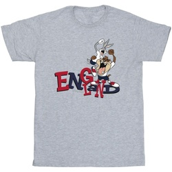 textil Hombre Camisetas manga larga Dessins Animés Bugs & Taz England Gris