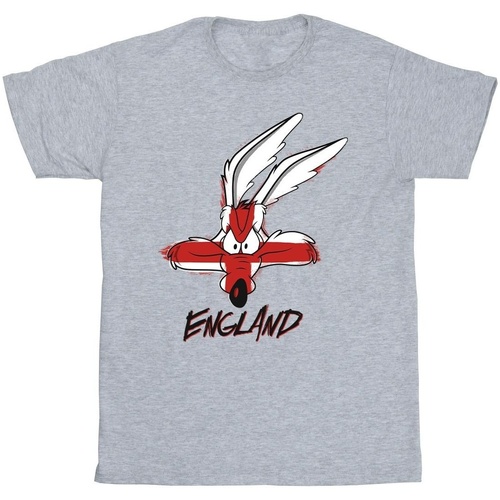 textil Hombre Camisetas manga larga Dessins Animés Coyote England Face Gris