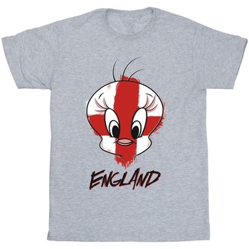 textil Hombre Camisetas manga larga Dessins Animés Tweety England Face Gris