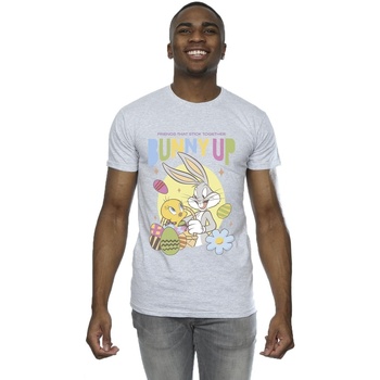 textil Hombre Camisetas manga larga Dessins Animés Bunny Up Gris