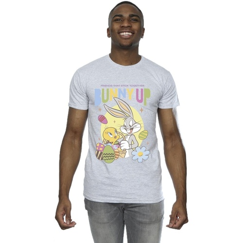 textil Hombre Camisetas manga larga Dessins Animés Bunny Up Gris