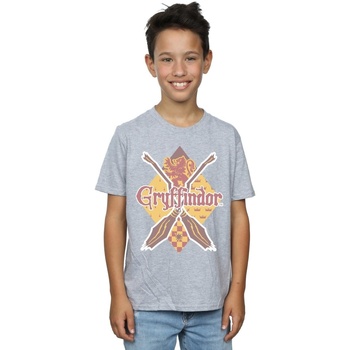 textil Niño Tops y Camisetas Harry Potter Gryffindor Lozenge Gris