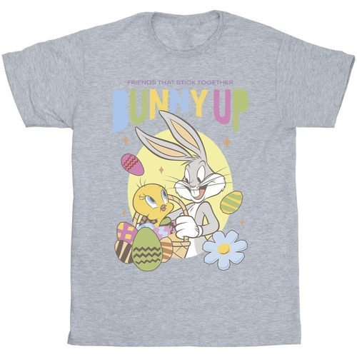 textil Niño Camisetas manga corta Dessins Animés Bunny Up Gris