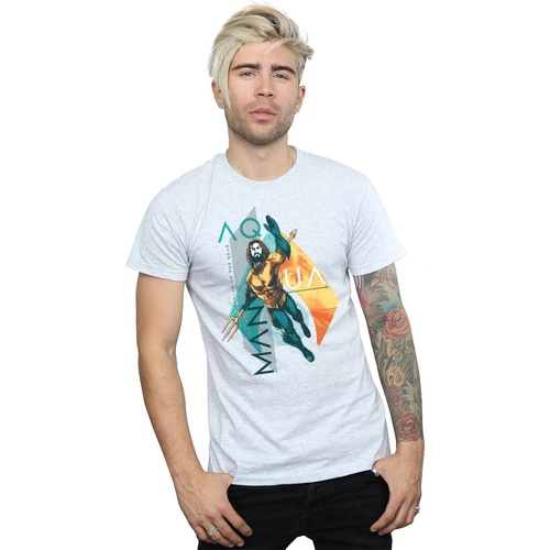 textil Hombre Camisetas manga larga Dc Comics Aquaman Tropical Icon Gris