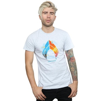 textil Hombre Camisetas manga larga Dc Comics Aquaman Tropical Logo Gris