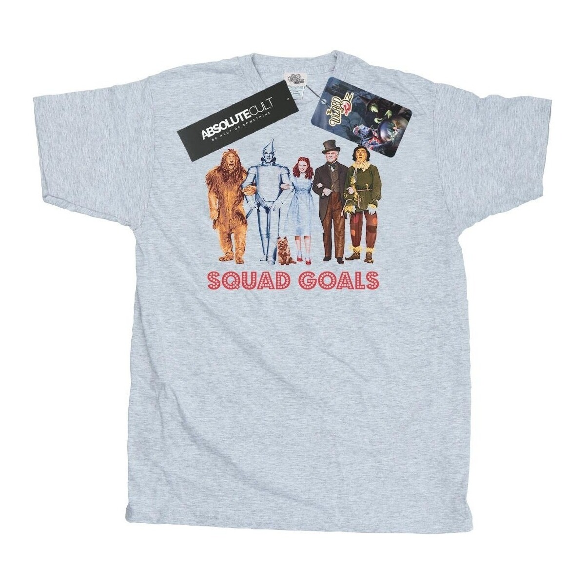 textil Hombre Camisetas manga larga The Wizard Of Oz Squad Goals Gris