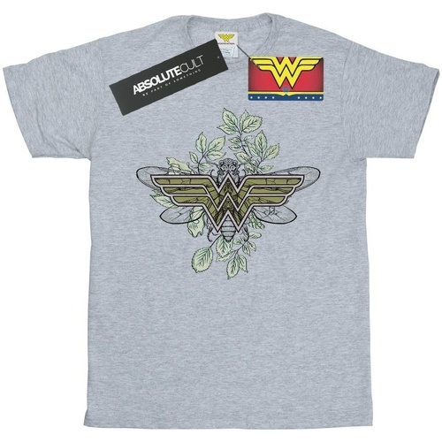 textil Hombre Camisetas manga larga Dc Comics Wonder Woman Butterfly Logo Gris