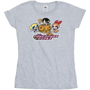 textil Mujer Camisetas manga larga The Powerpuff Girls Girls Pumpkin Gris